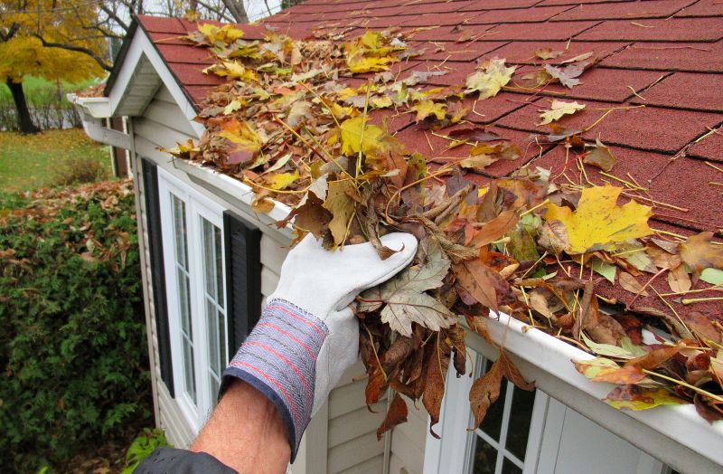 Gutter Leaf Clearing in Longmont, CO