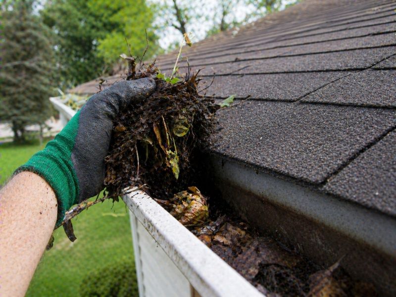 Gutter Leaves Removal in Monmouth County, NJ