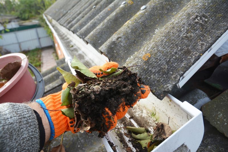 Rain Gutter Clearing in Baltimore, MD