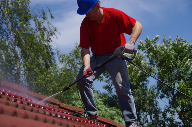Tile Roof Soft Washing