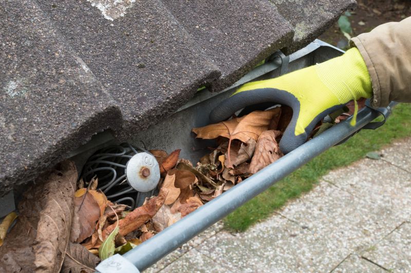 Business Gutter Cleaning in Sacramento, CA