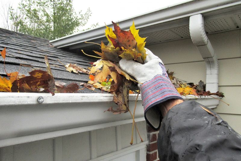 Clogged Gutter Clearing in Baltimore, MD