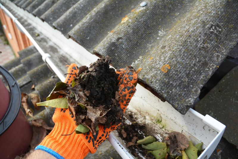 Commercial Gutter Cleaning in Littleton, CO