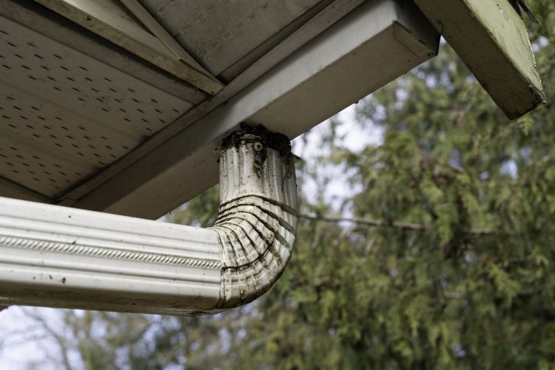 Downspout Cleaning in Frederick, MD