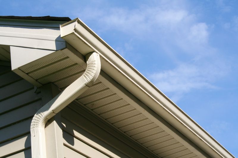 Eavestrough Clearing in Baltimore, MD
