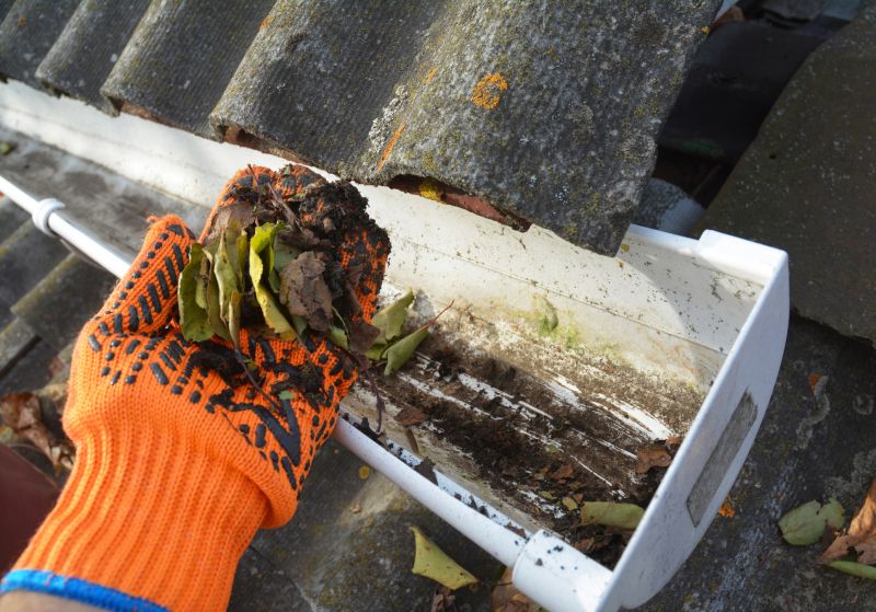 Garage Gutter Cleaning in Monmouth County, NJ