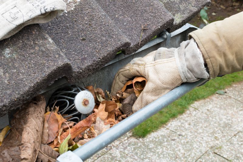 Gutter Cleaning in Longmont, CO