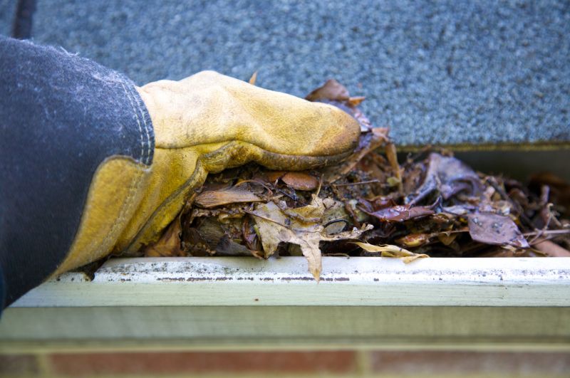 Gutter Cleaning in Monmouth County, NJ