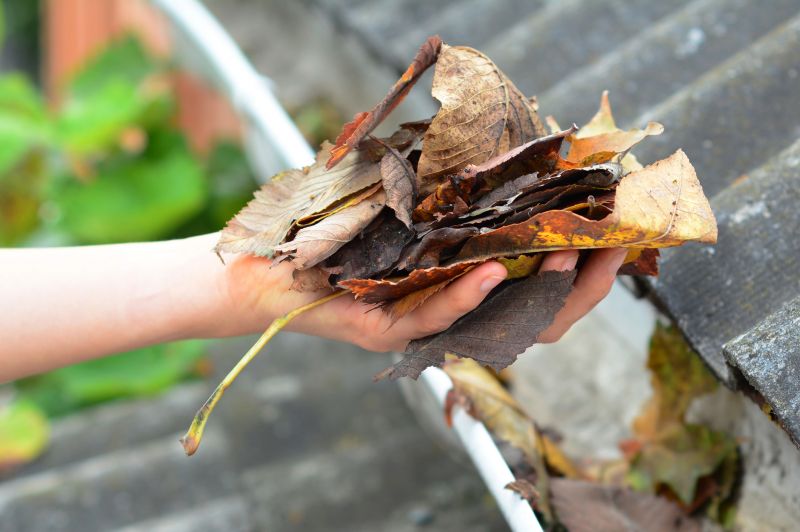 Gutter Leaves Removal in Richmond, VA