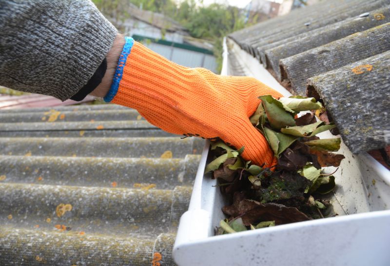 Gutter Pine Needle Removal in Boulder, CO