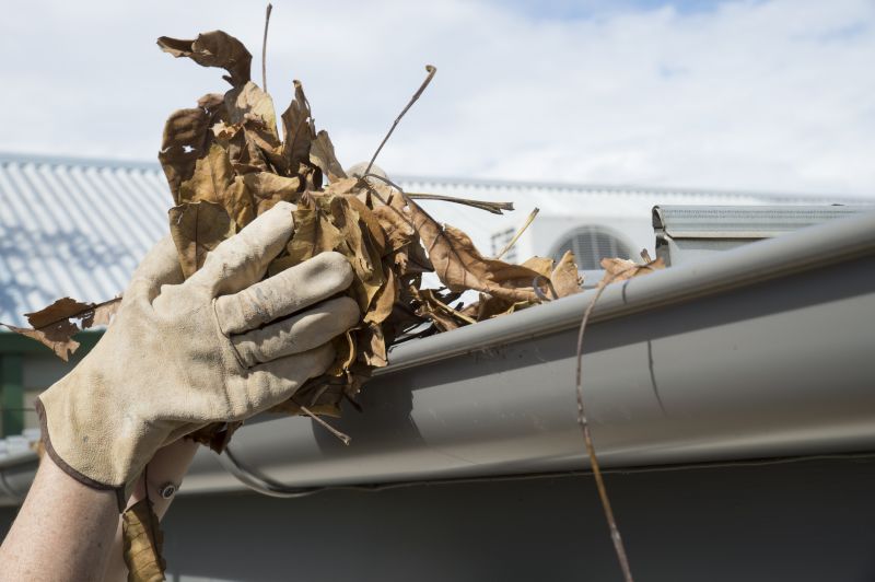 Gutter Pine Needle Removal in Boulder, CO