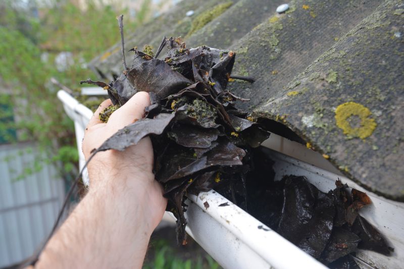 Roof Gutter Cleaning in Rochester, NY