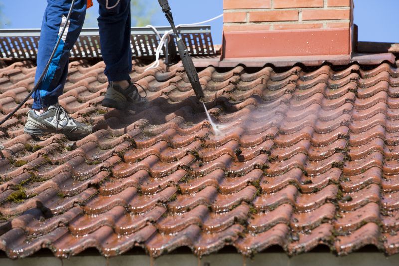 Tile Roof Soft Washing